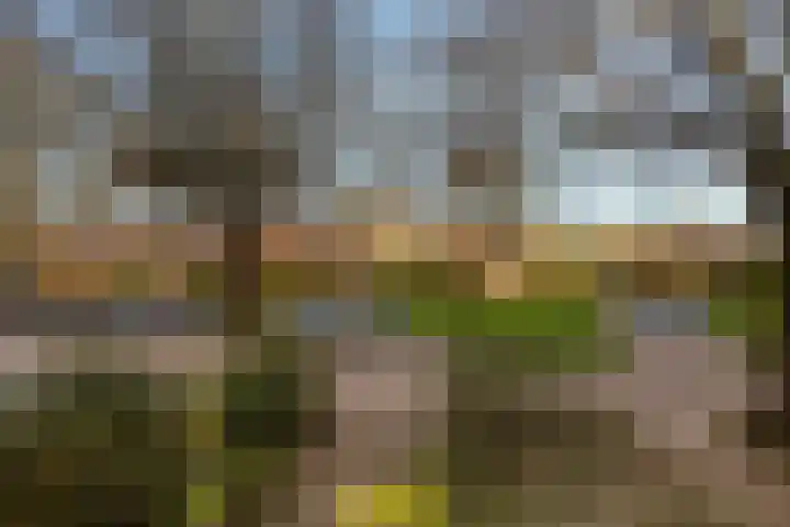 Abt Ludolfweg 55 De Bilt thumbnail 18