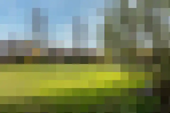 Abt Ludolfweg 55 De Bilt thumbnail 23