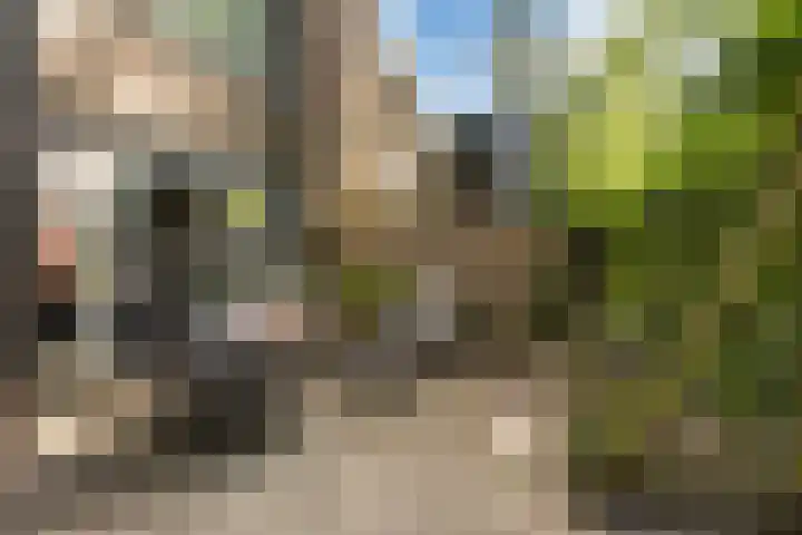 Abt Ludolfweg 67 De Bilt thumbnail 19