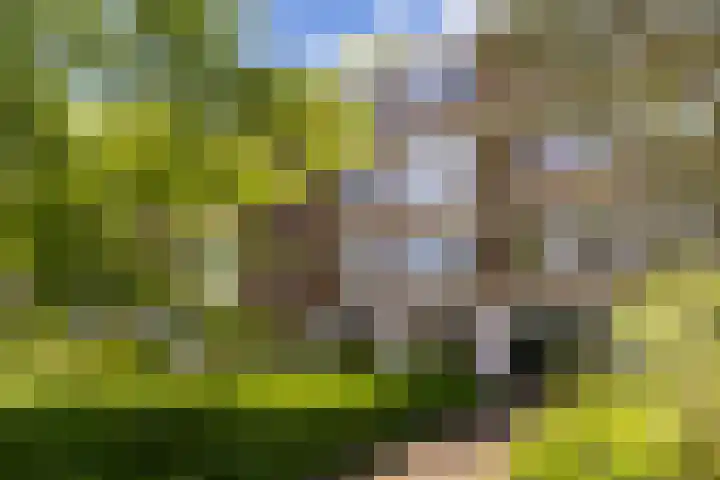Abt Ludolfweg 67 De Bilt thumbnail 38