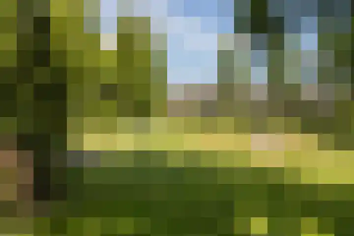 Abt Ludolfweg 67 De Bilt thumbnail 39