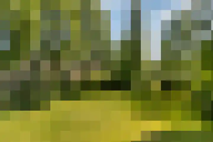 Abt Ludolfweg 67 De Bilt thumbnail 42