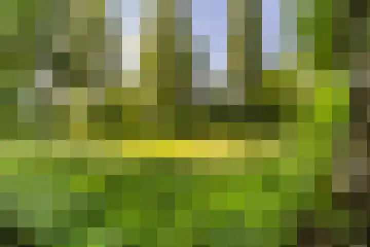 Abt Ludolfweg 67 De Bilt thumbnail 44