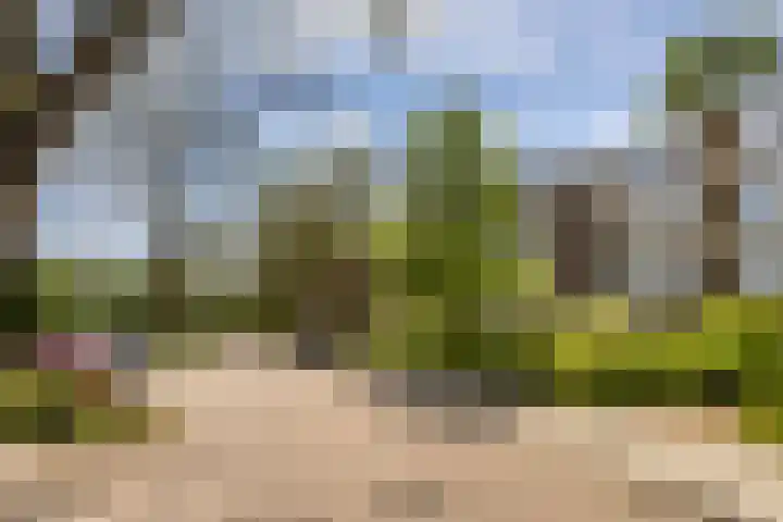 Abt Ludolfweg 67 De Bilt thumbnail 45