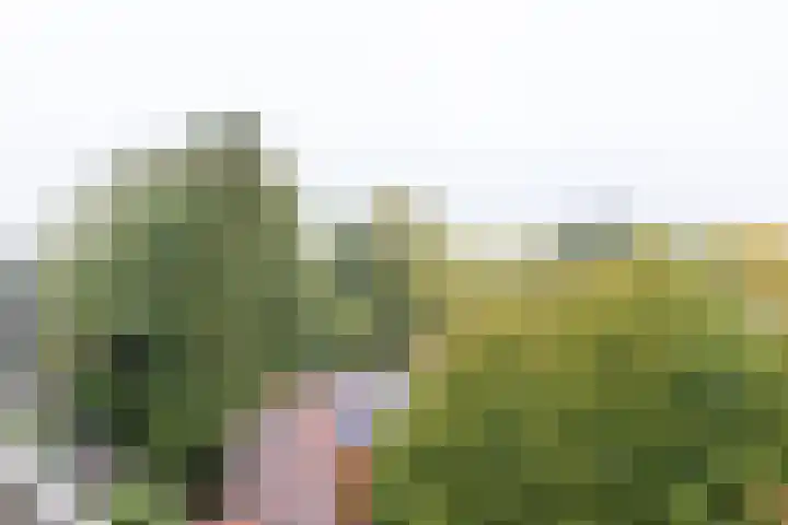 Abt Ludolfweg 68 De Bilt thumbnail 17