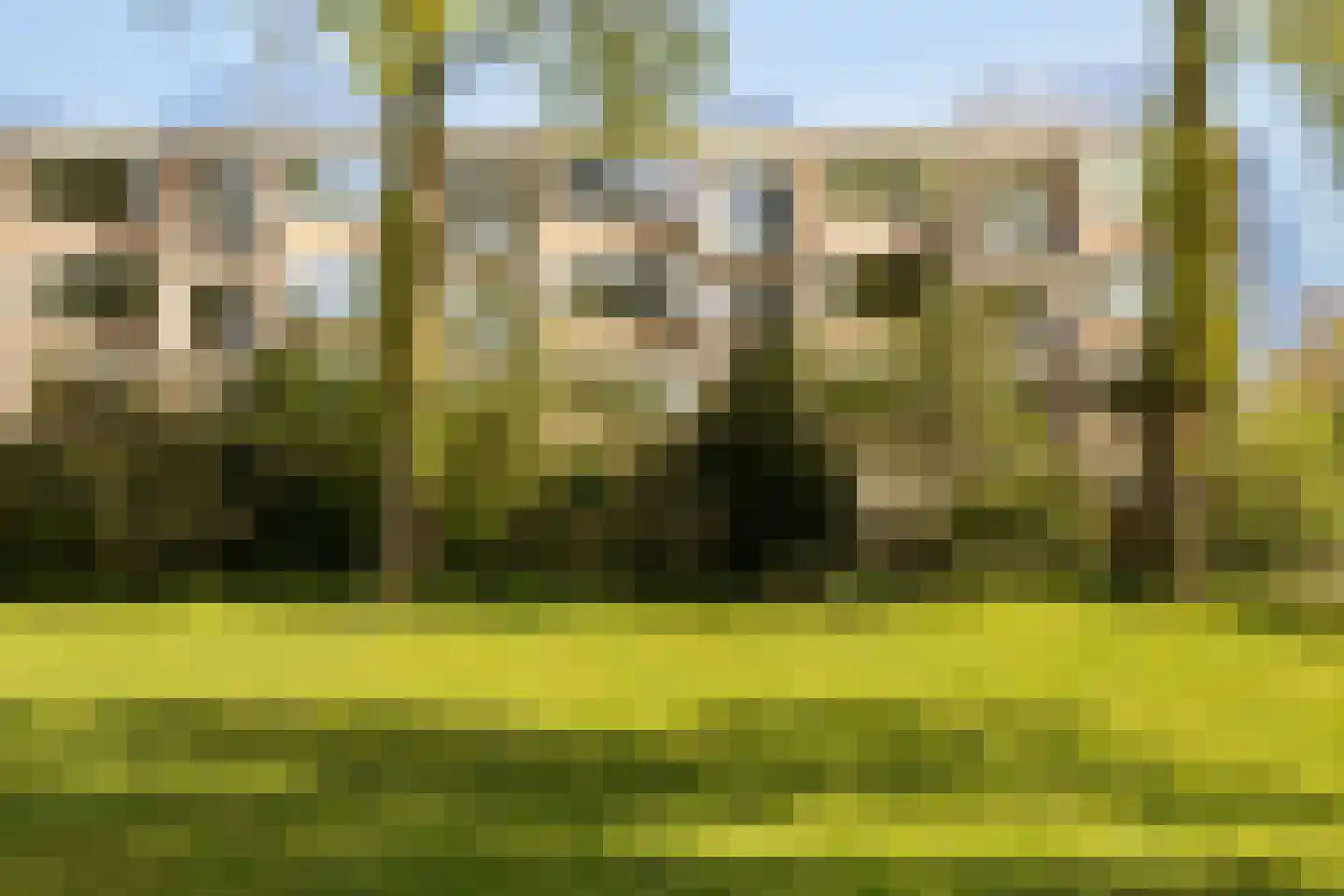 Abt Ludolfweg 9 De Bilt thumbnail 31