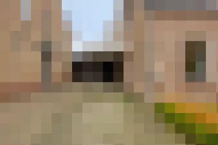 Abt van de Venstraat 20 Heeswijk-Dinther thumbnail 51