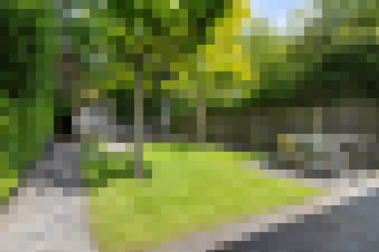 Abt van de Venstraat 28 Heeswijk-Dinther thumbnail 38