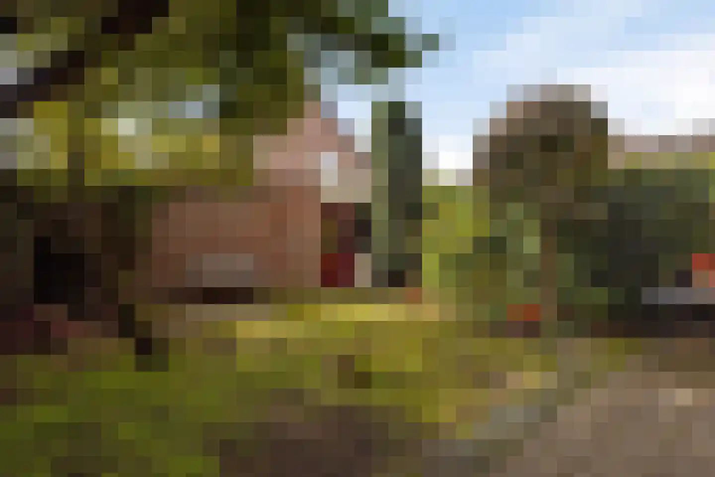 Abt van de Venstraat 41 Heeswijk-Dinther thumbnail 28