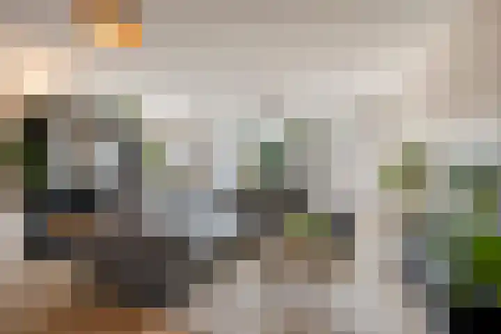 Abt van den Eijndenstraat 16 Valkenswaard thumbnail 5