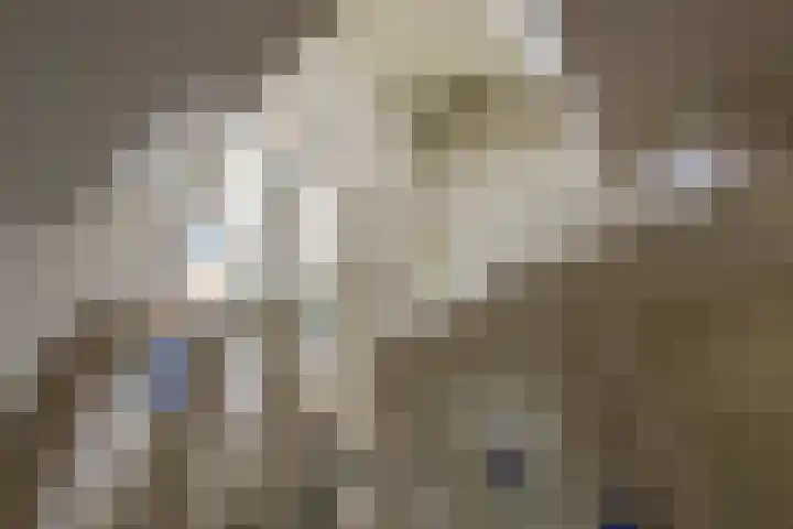 Abtenlaan 30 Kerkrade thumbnail 13