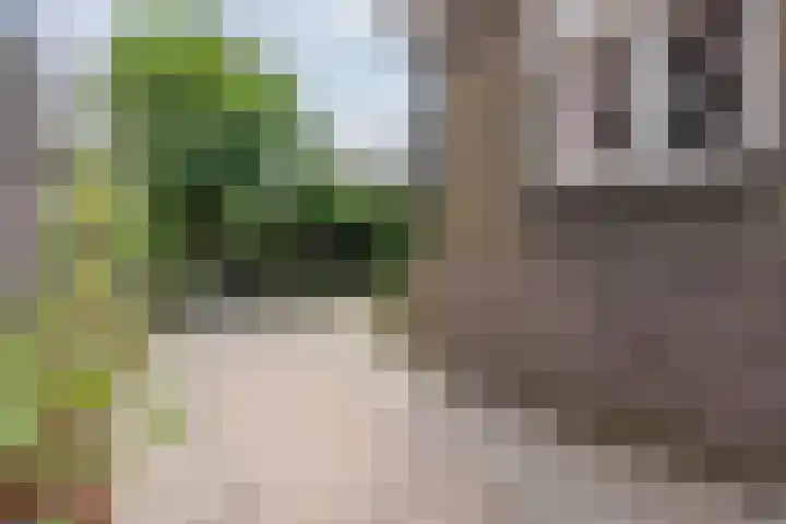 Abtenlaan 30 Kerkrade thumbnail 25