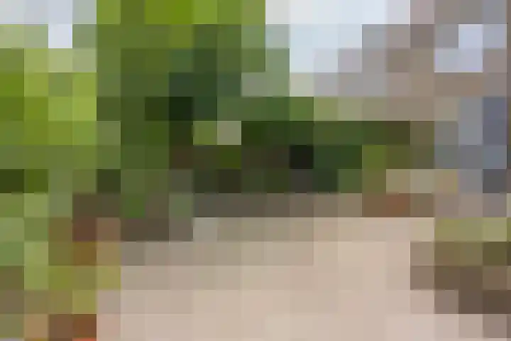 Abtenlaan 30 Kerkrade thumbnail 4