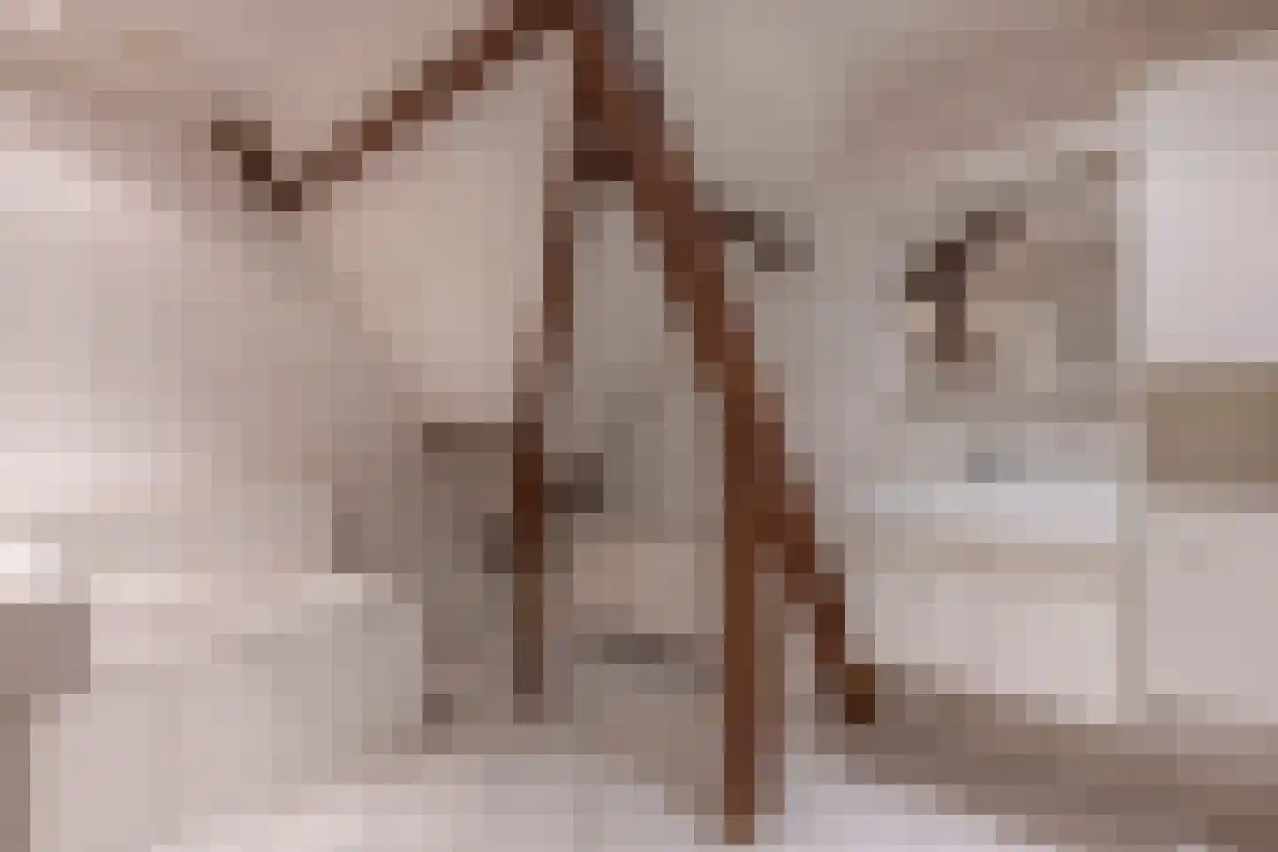 Abtenlaan 58 Kerkrade thumbnail 33