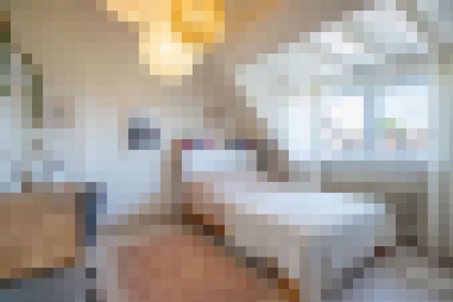 Abtenlaan 7 Kerkrade thumbnail 18