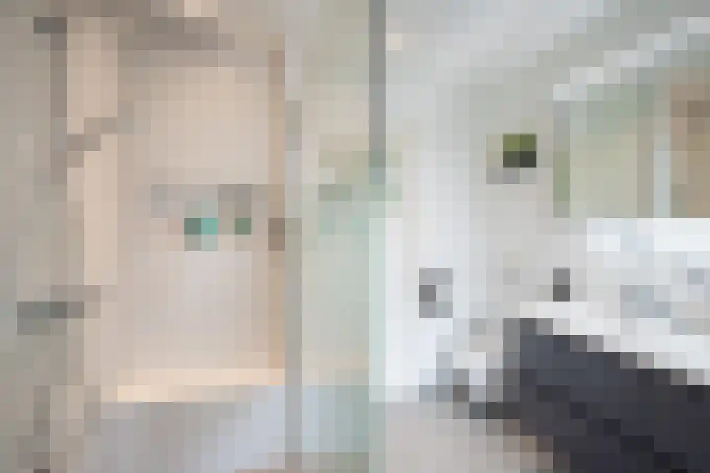 Abtenlaan 7 Kerkrade thumbnail 20