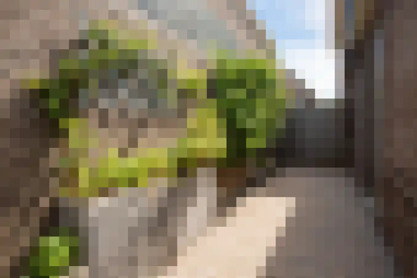Abtenlaan 7 Kerkrade thumbnail 24