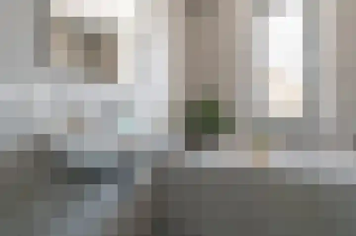 Abtsgeer 34 Culemborg thumbnail 18