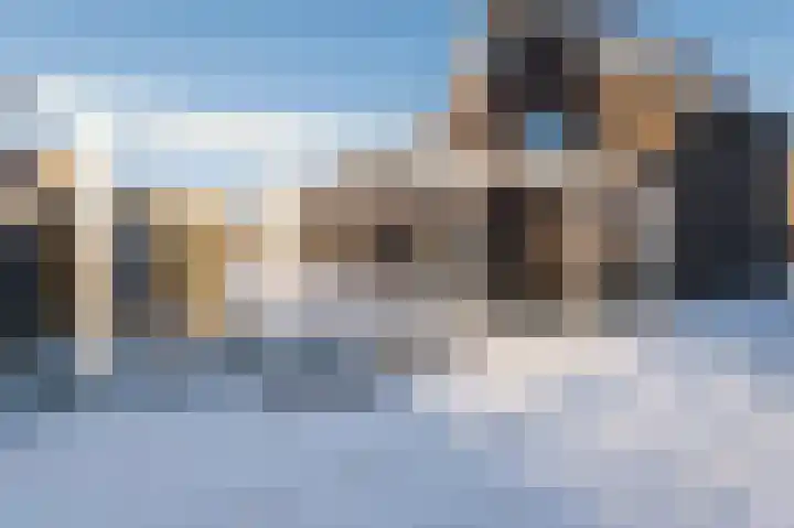 Abtsgeer 34 Culemborg thumbnail 27