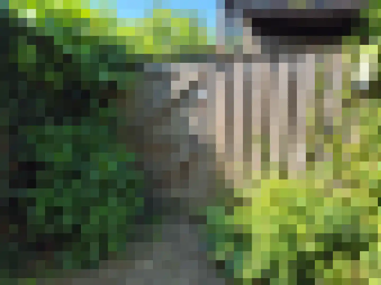 Abtshof 44 Bergeijk thumbnail 20