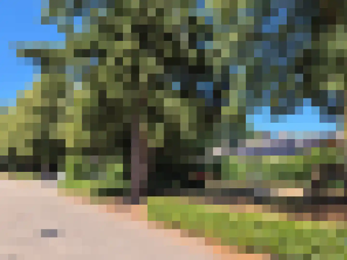 Abtshof 44 Bergeijk thumbnail 21
