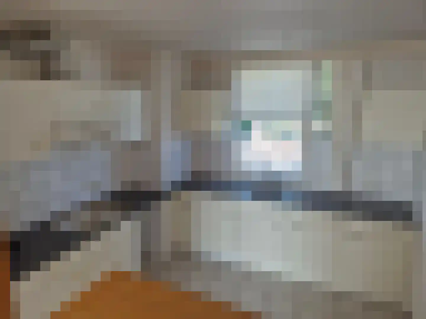 Abtshof 44 Bergeijk thumbnail 4