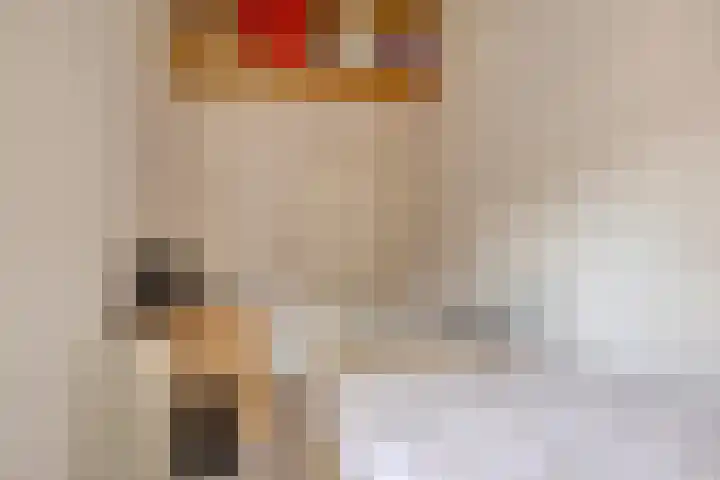 Abtshof 64 Bergeijk thumbnail 28