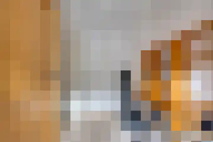 Abtshof 64 Bergeijk thumbnail 30