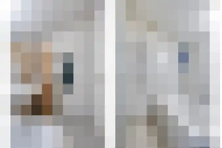 Abtshof 64 Bergeijk thumbnail 33