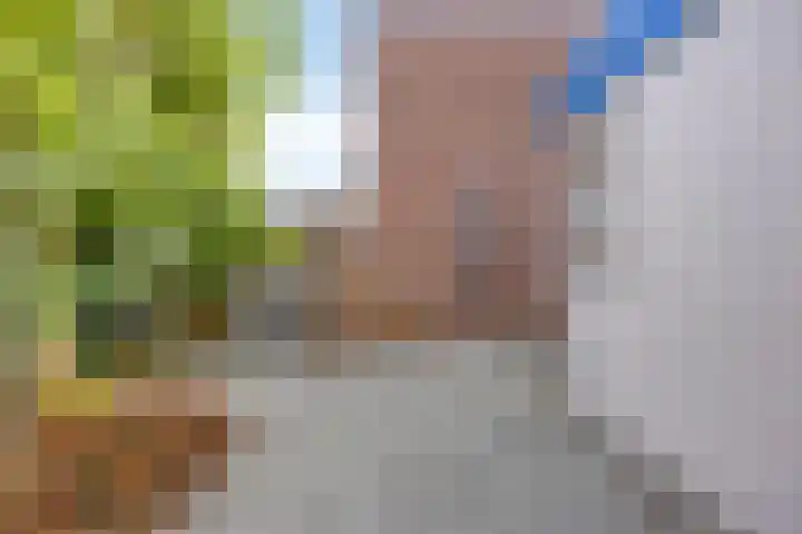 Abtshof 64 Bergeijk thumbnail 34