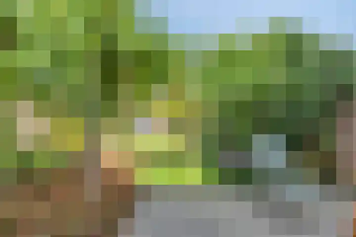 Abtshof 64 Bergeijk thumbnail 36