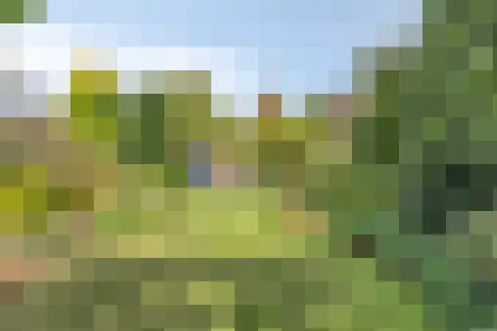 Abtshof 64 Bergeijk thumbnail 4