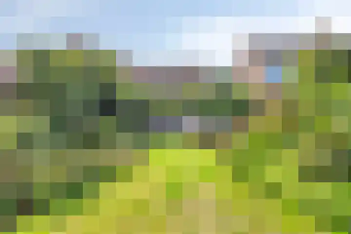 Abtshof 64 Bergeijk thumbnail 5