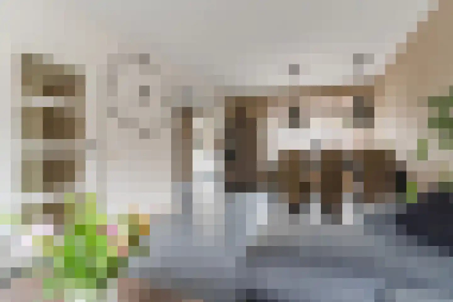 Abtshof 68 Bergeijk thumbnail 10