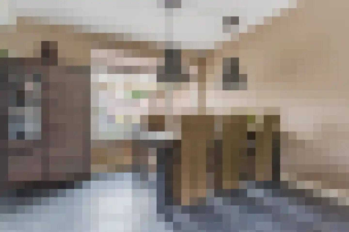 Abtshof 68 Bergeijk thumbnail 12
