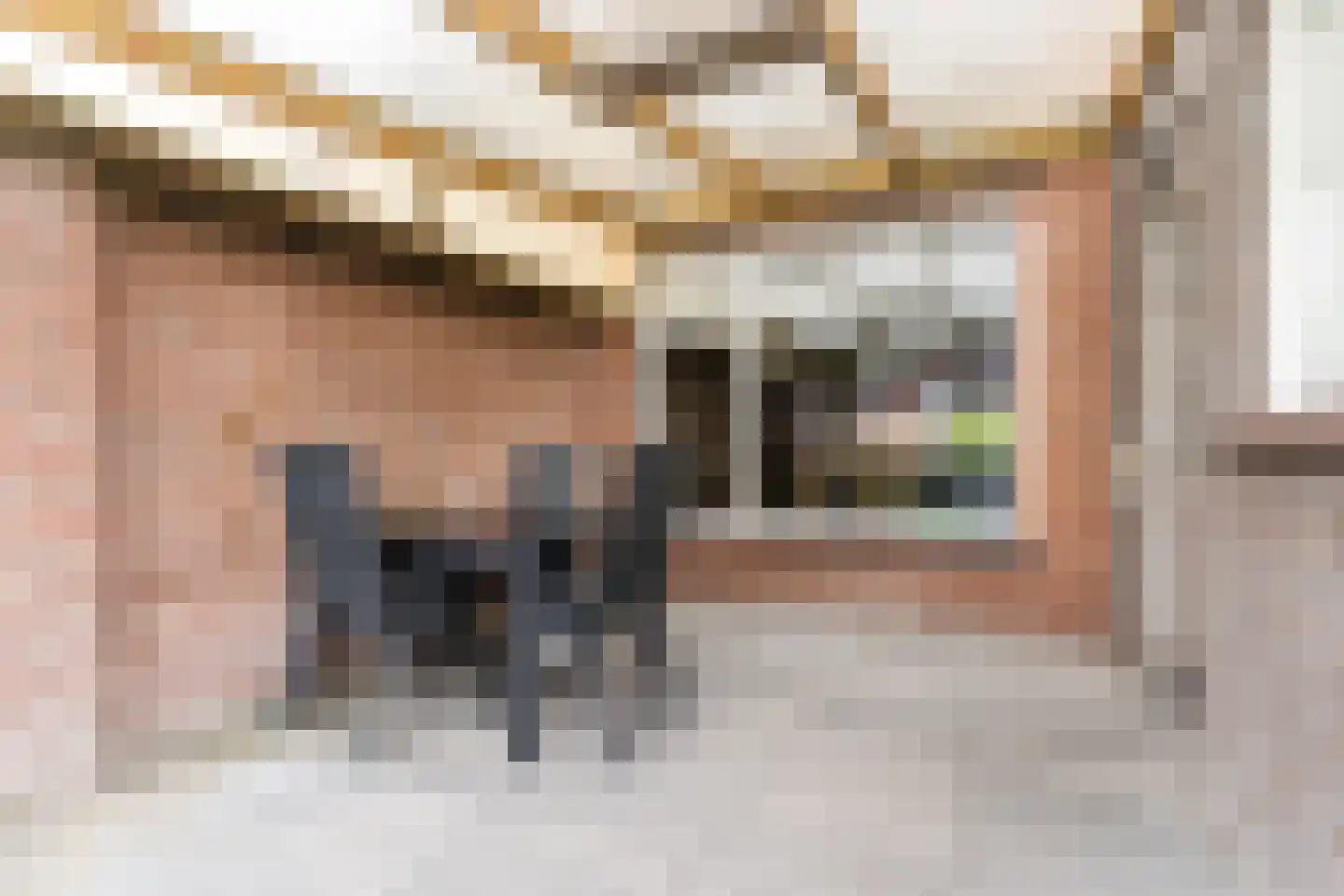 Abtshof 68 Bergeijk thumbnail 37