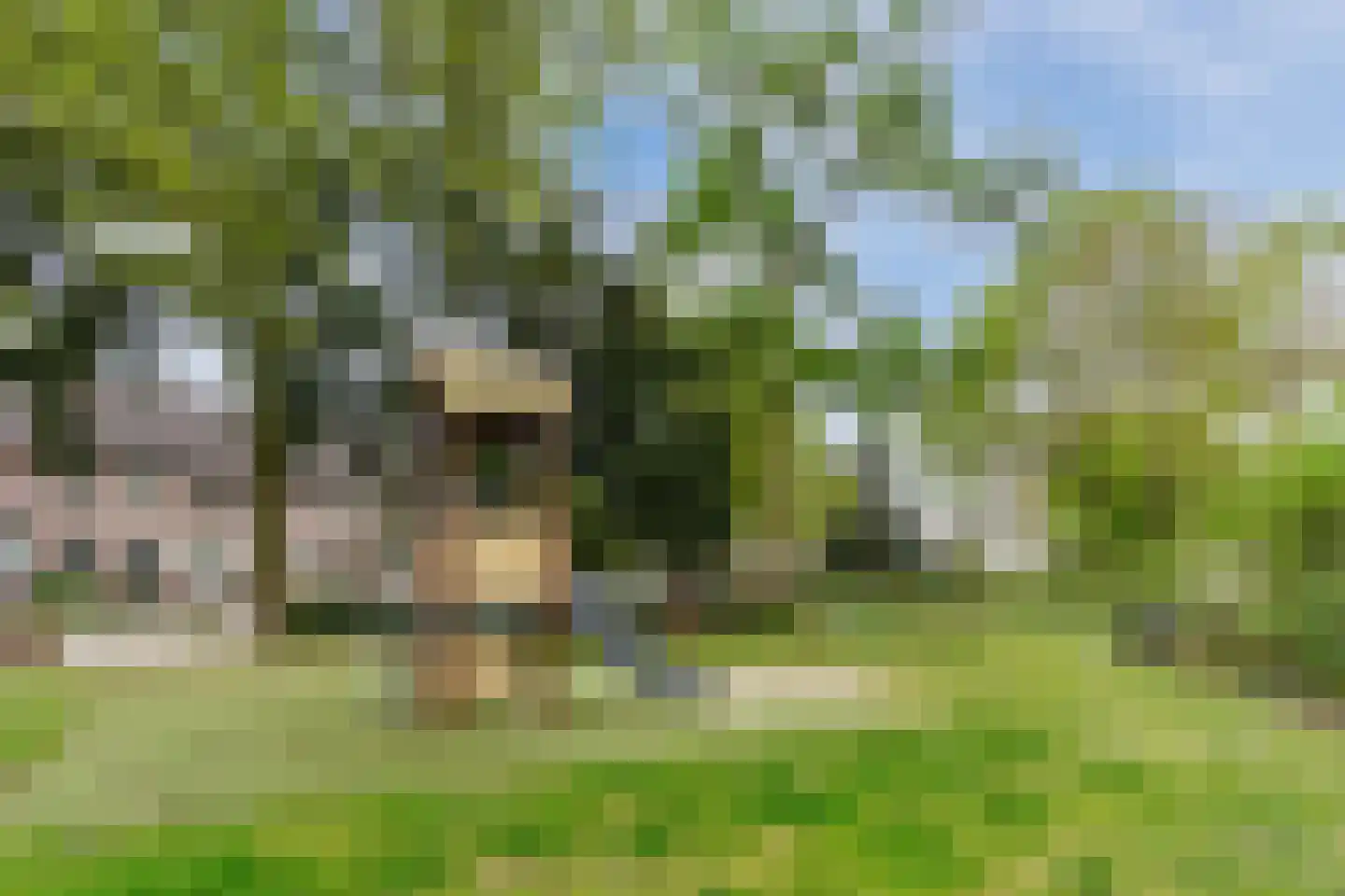 Abtshof 68 Bergeijk thumbnail 39