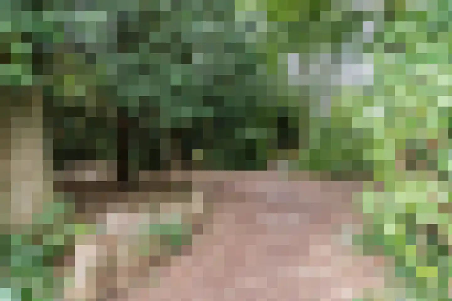 Abtshof 68 Bergeijk thumbnail 40