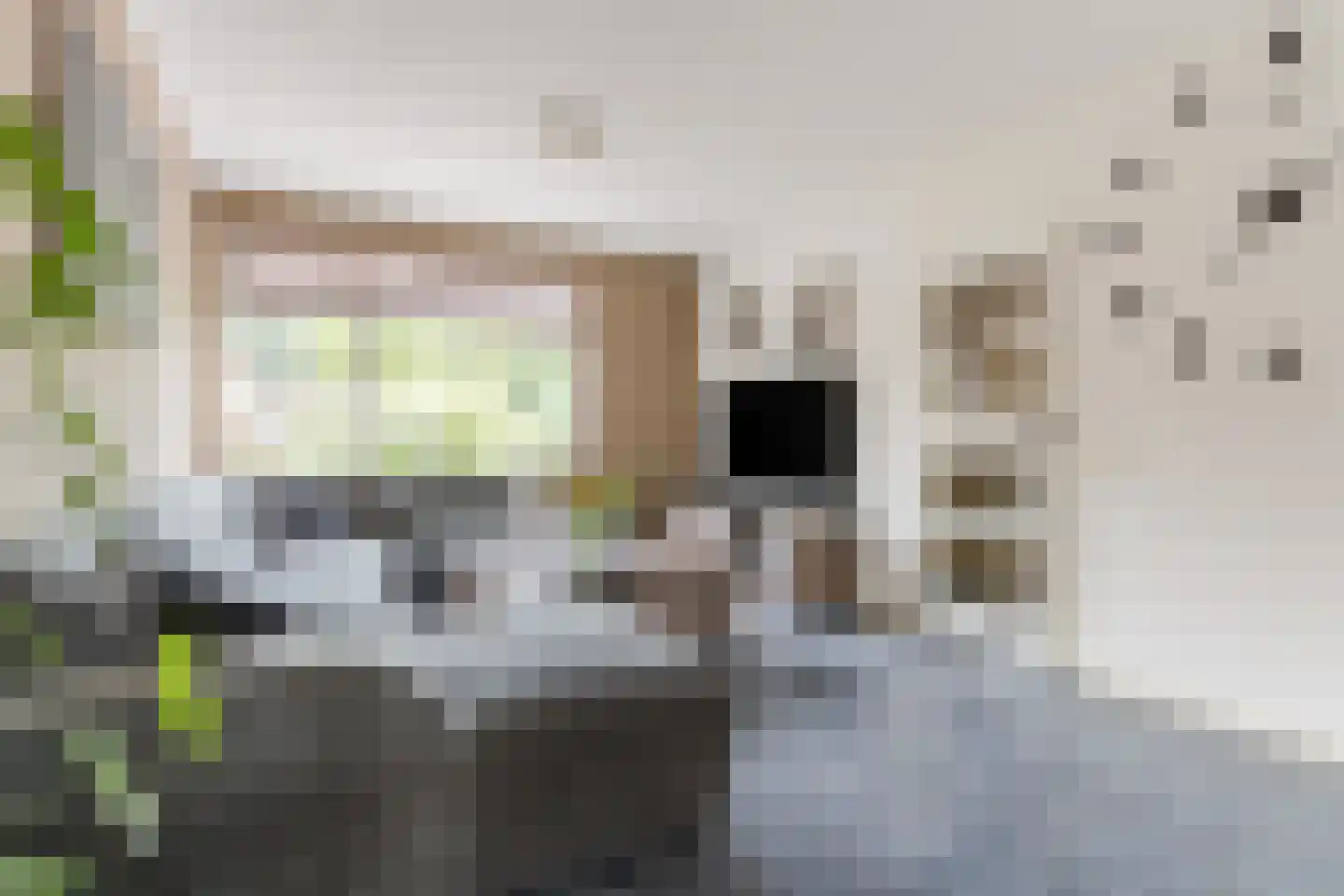 Abtshof 68 Bergeijk thumbnail 8