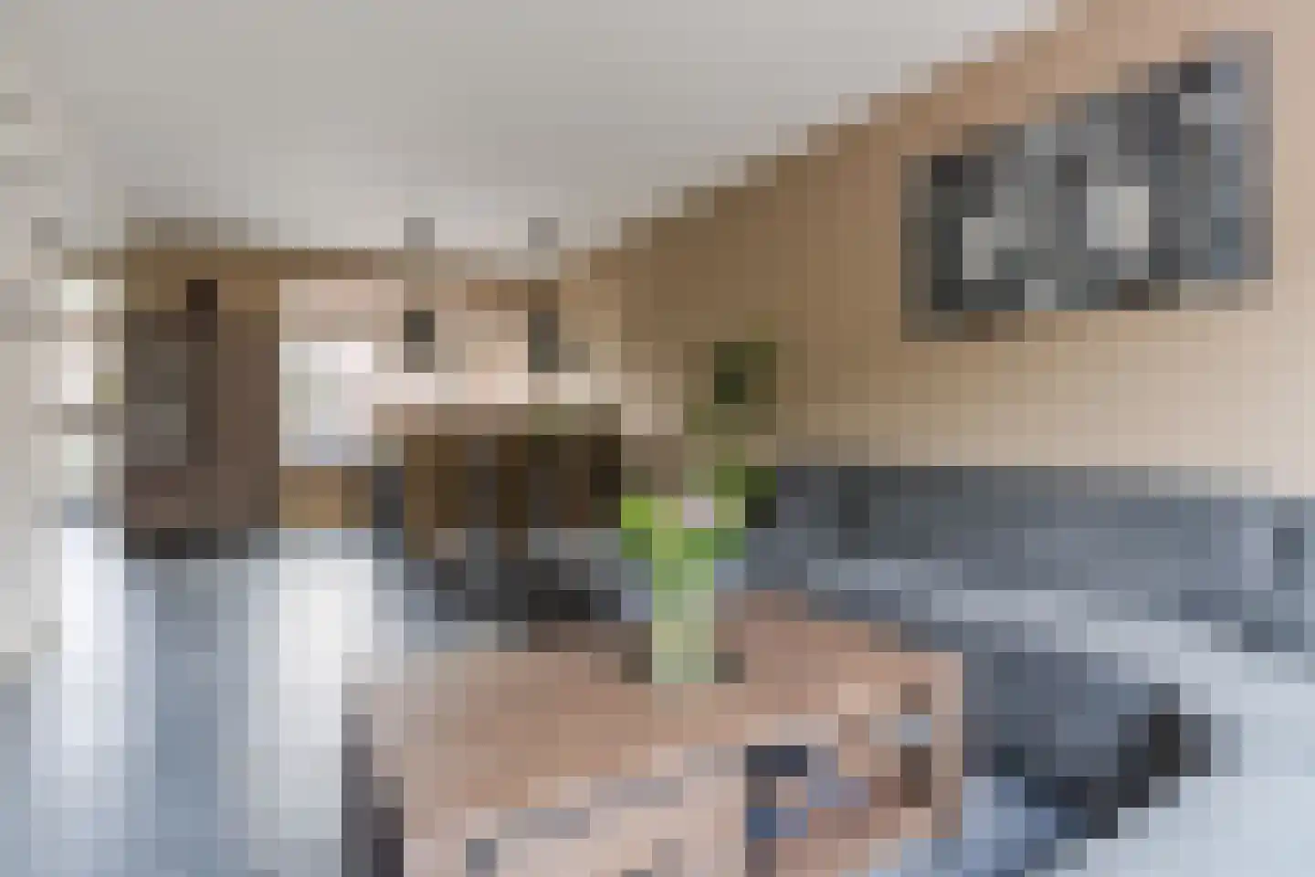 Abtshof 68 Bergeijk thumbnail 9