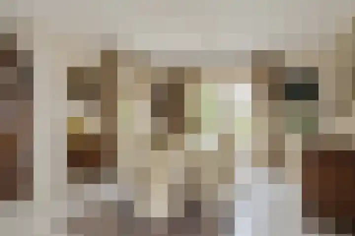 Abtspoelhof 11 Oegstgeest thumbnail 11