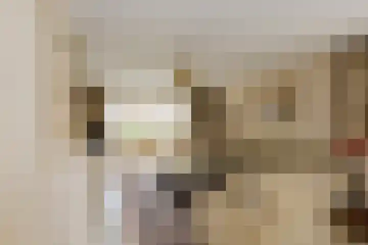 Abtspoelhof 11 Oegstgeest thumbnail 12