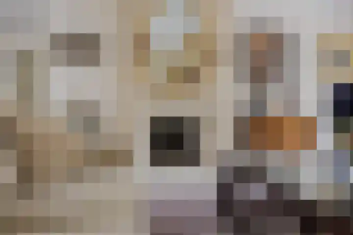 Abtspoelhof 11 Oegstgeest thumbnail 14