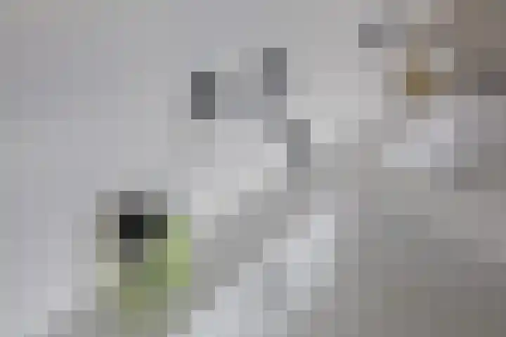 Abtspoelhof 11 Oegstgeest thumbnail 35