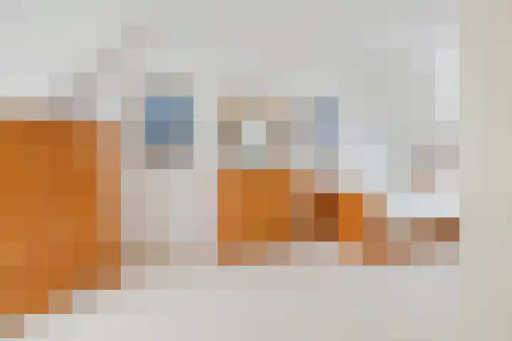 Abtspoelhof 11 Oegstgeest thumbnail 38