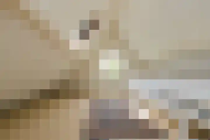 Abtspoelhof 11 Oegstgeest thumbnail 42