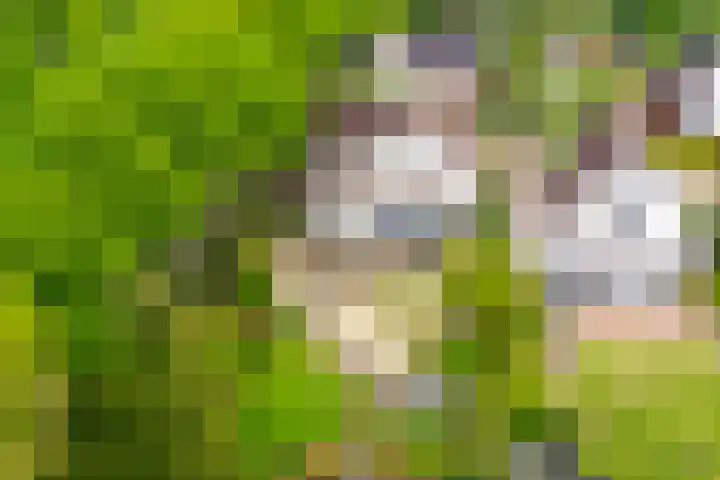 Abtspoelhof 11 Oegstgeest thumbnail 43