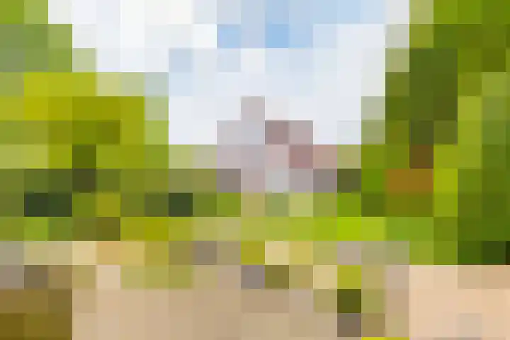 Abtspoelhof 11 Oegstgeest thumbnail 45