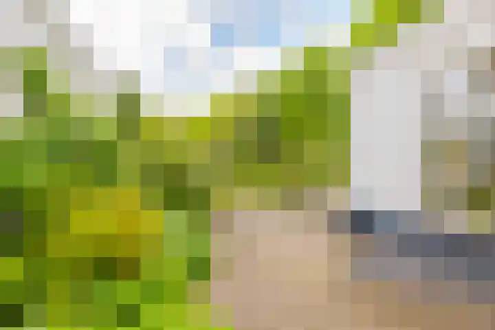 Abtspoelhof 11 Oegstgeest thumbnail 47