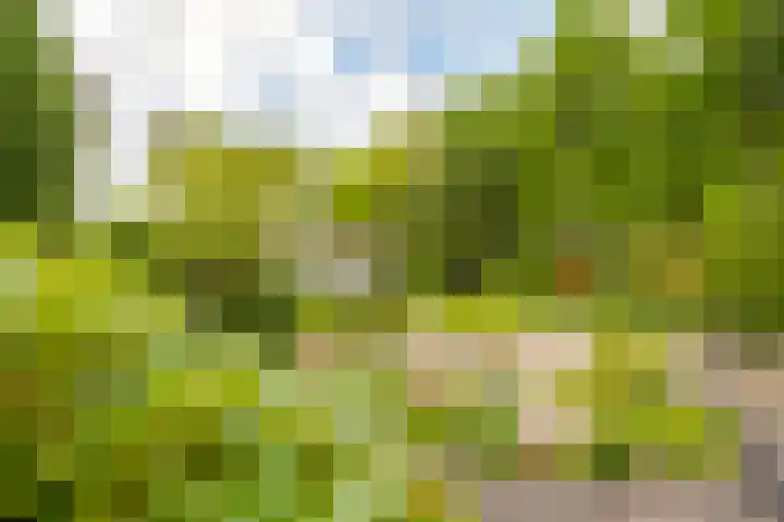 Abtspoelhof 11 Oegstgeest thumbnail 48